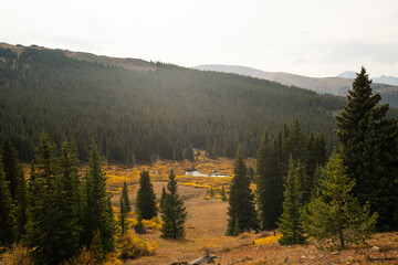 Mountain Lake during Fall Autumn Season surrounded by Yellow Changing Leaves Shrubs and Forest in Alpine Pass with Mountain Range and Clouds