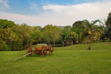 Fototapeta premium Cart In The Field