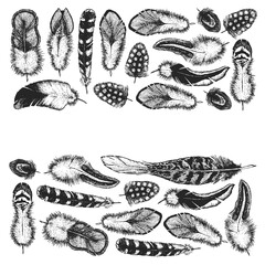 Fototapeta premium Set of ethnic feathers. Decoration design. Birds feathers, boho chic style. Tribal ornament pattern.