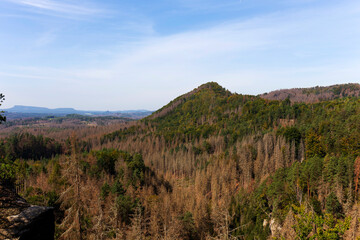 Late summer Landscape in the Czech Switzerland, Czech Republic