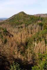 Late summer Landscape in the Czech Switzerland, Czech Republic