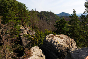 Late summer Landscape in the Czech Switzerland, Czech Republic