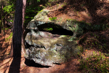 Late summer Landscape in the Czech Switzerland, Czech Republic