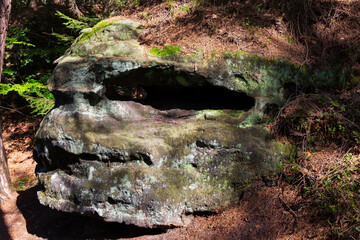 Late summer Landscape in the Czech Switzerland, Czech Republic