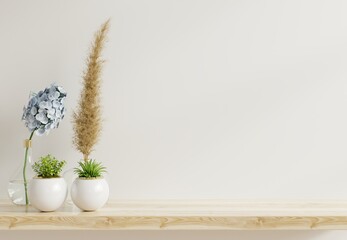 Mockup wall with plants on Shelf wooden.