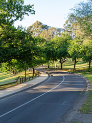 Curved road inside Parramatta Park surrounded by green trees.