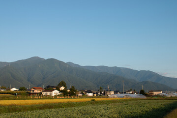 山