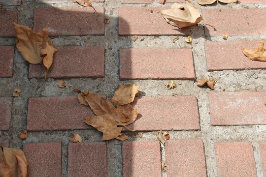 Bricks