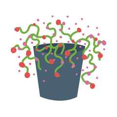 flat flowers in pots on white background