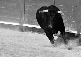 Fotobehang spanish black bull with big horns running on the show of bullfight in spain © alberto