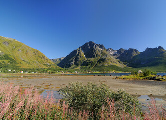 View To The Higravstindan Mountain In Laupstad On Austvagoy Island Of Lofoten At Austnesfjord On A Sunny Summer Day With A Clear Blue Sky