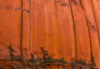 Streaks of Desert Varnish On The Sandstone Walls Long Canyon,Grand Staircase-Escalante National Park,Utah,USA