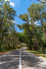 Fototapeta na wymiar Araluen bush land in Perth, Western Australia