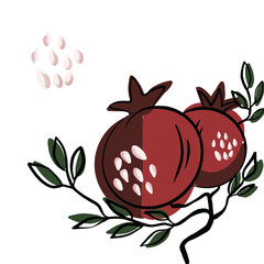 Illustration of a ripe pomegranate bush on a white background 