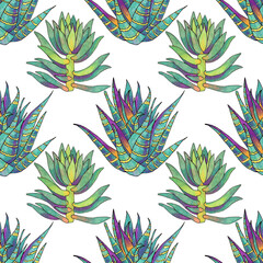 Seamless pattern green succulent cotyledon and opuntia home plant on white background. Art creative hand-drawn object for card, sticker, wallpaper, textile, wrapping