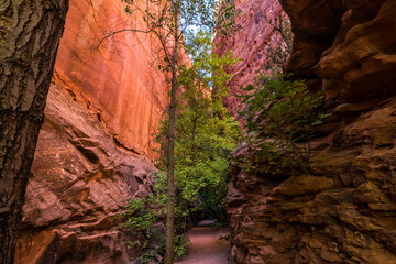 Long Canyon Slot in Long Canyon,Grand Staircase-Escalante National Park,Utah,USA