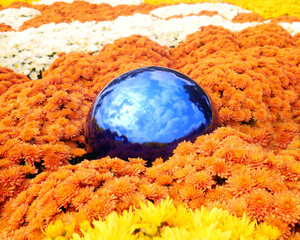 A blue garden globe in a field of white, yellow and orange mums blooming in the early fall
