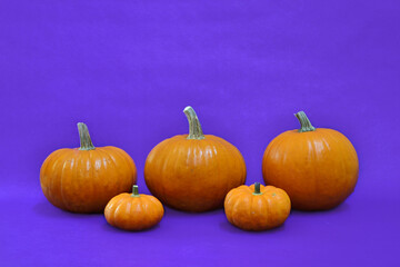 Five pumpkins in purple background.