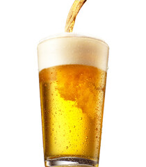 Golden beer splash