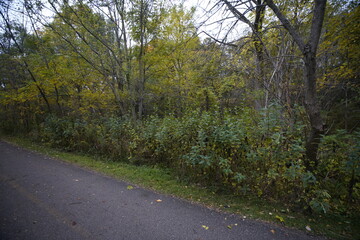Beautiful Scenic Autumn Nature Landscape with fall colors and orange leaves on trees making for beautiful views 