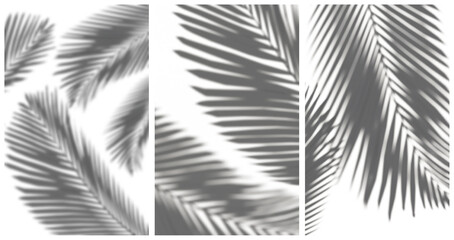 Palm leafes shadows mini Set