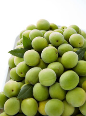 fresh apricot