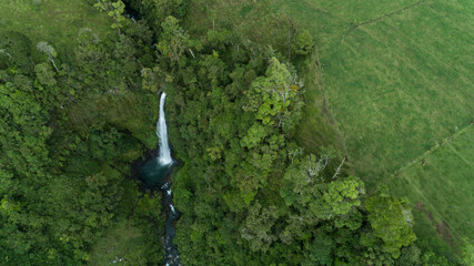 Tropical Waterfall 2