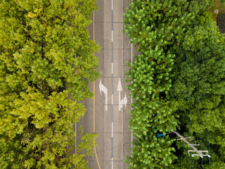 Drone aerial view of road with forest and trees along the road with few cars and passengers. The city street with road marks surround by green plants. Calm chill cozy B roll footage Shanghai China