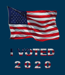 Obraz premium American election for the president - I VOTED 2020