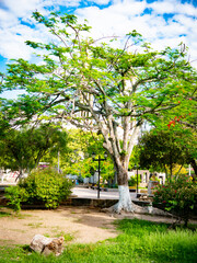 Fototapeta na wymiar parque principal Tocaima- Cund. Colombia