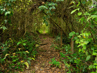 senderos hacia cerro de Quinini  Cund.-Colombia