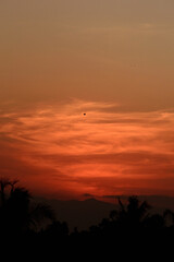 Obraz premium Beautiful sunset with the silhouette of coconut trees