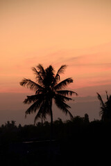 Fototapeta na wymiar Beautiful sunset with the silhouette of coconut trees