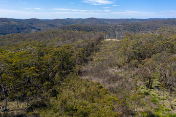 Fototapeta na wymiar Aerial view of power lines running through a forest in regional Australia