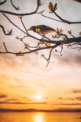 paisagem
