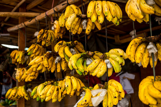 Lakatan bananas hanged for display at a stall of a local market in the Philippines.