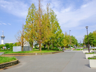 Fototapeta na wymiar 大阪鶴見緑地公園　風景