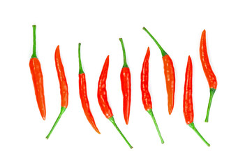 red chili pepper isolated on white background