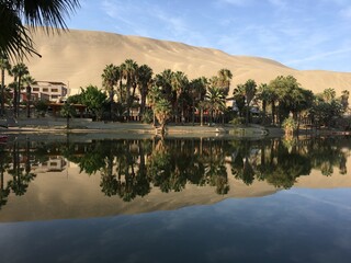 oasis in the desert