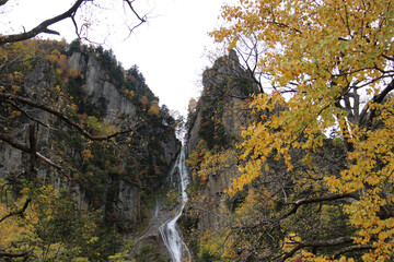 流れる滝と秋の黄葉
