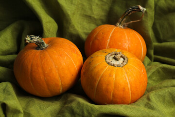 Orange ripe pumpkins on a linen tablecloth in the kitchen of a village house.