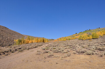 Road leading up to a hillside in California with vibrant fall colors on a sunny autumn day