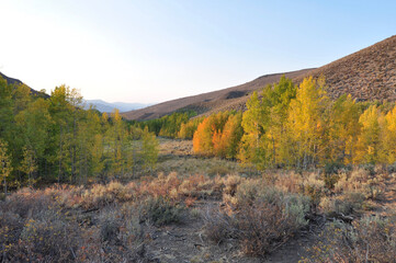 Hillside in California with vibrant fall colors on a sunny autumn day