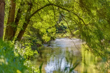 Eine ruhige, ruhige Szene von Merri Creek, der die Vororte von Melbourne, Australien, durchfließt © Adam Calaitzis