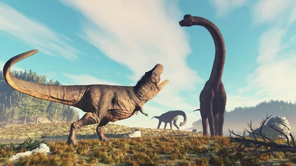Afwasbaar Fotobehang Dinosaurus tyrannosaurus and brachiosaurus