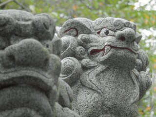 一対になって向き合う神社の狛犬（こまいぬ）は、獅子や犬に似せて作られた日本の獣です