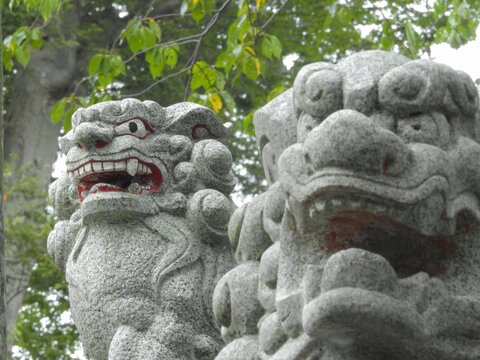 狛犬 の画像 9 422 件の Stock 写真 ベクターおよびビデオ Adobe Stock