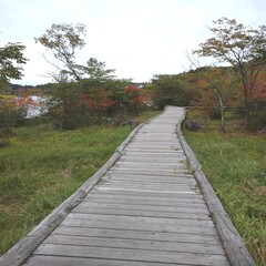 長野県の観光地、白樺湖の紅葉の風景