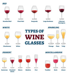 Types of wine glasses educational labeled classification example collection