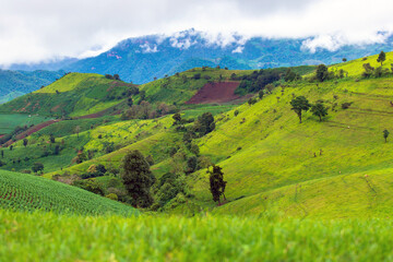 Mountain view from doi maetho chaimg mai thailand